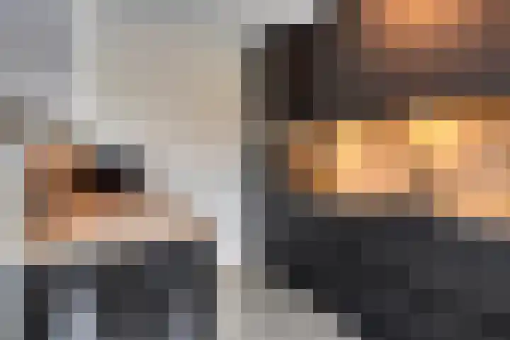 Sterndonk 44 Veghel thumbnail 11