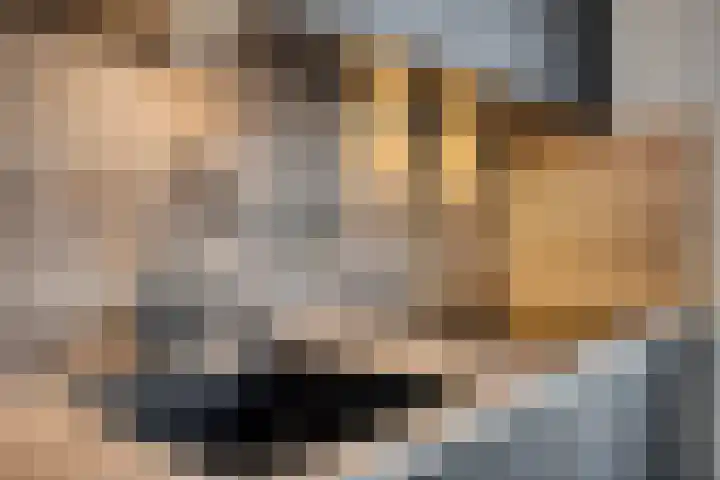 Sterndonk 44 Veghel thumbnail 12