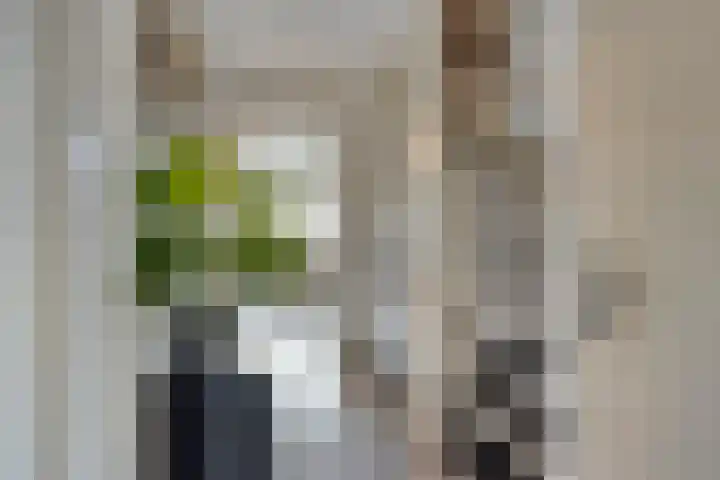 Sterndonk 44 Veghel thumbnail 13