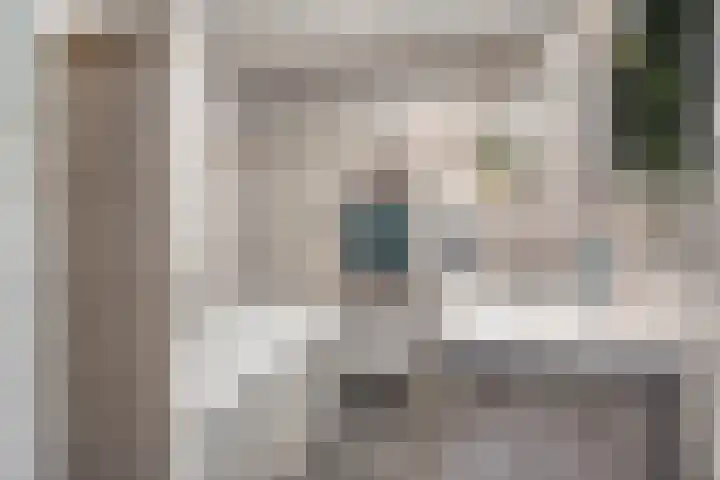 Sterndonk 44 Veghel thumbnail 18