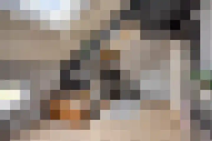 Sterndonk 44 Veghel thumbnail 22