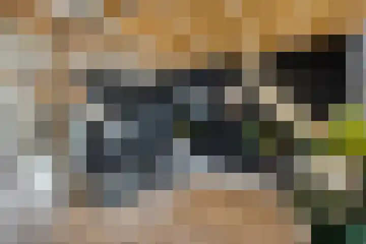 Sterndonk 44 Veghel thumbnail 23