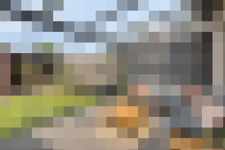 Sterndonk 44 Veghel thumbnail 27