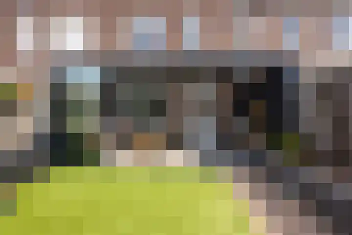Sterndonk 44 Veghel thumbnail 29