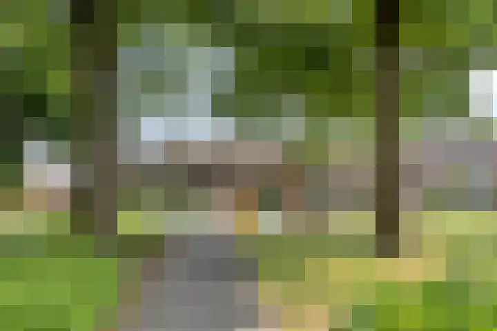 Sterndonk 44 Veghel thumbnail 37