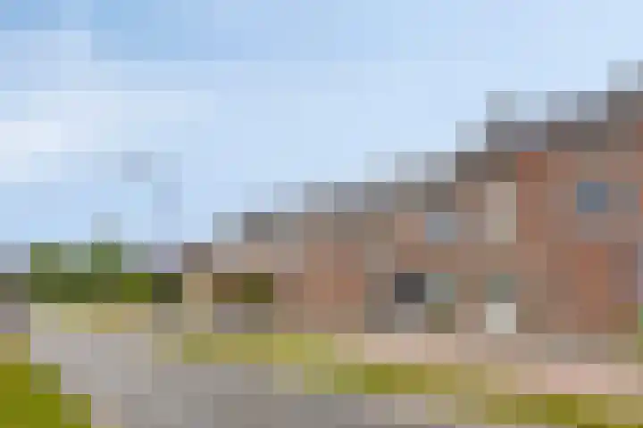 Sterndonk 44 Veghel thumbnail 4