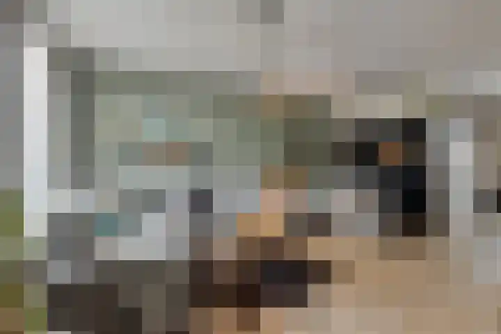 Sterndonk 44 Veghel thumbnail 7