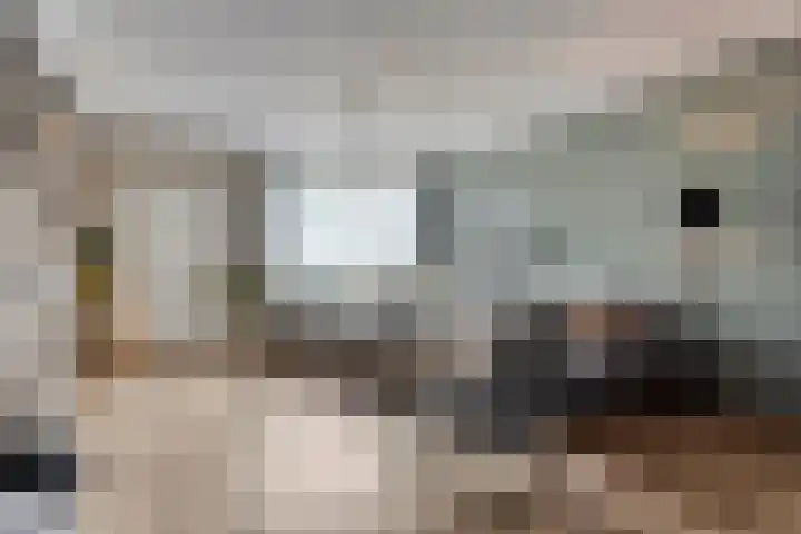 Sterndonk 44 Veghel thumbnail 8