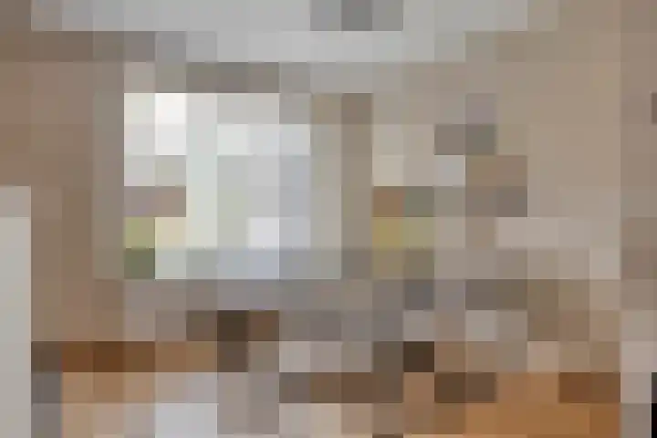 Sterndonk 44 Veghel thumbnail 9