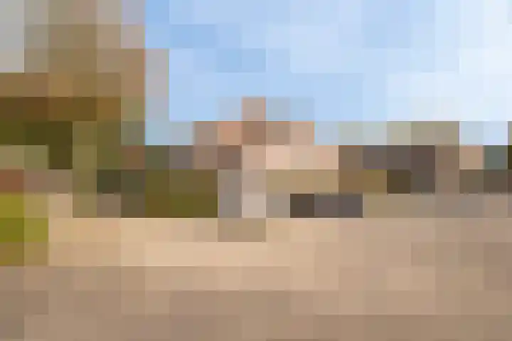Sternhof 6 Lisse thumbnail 10