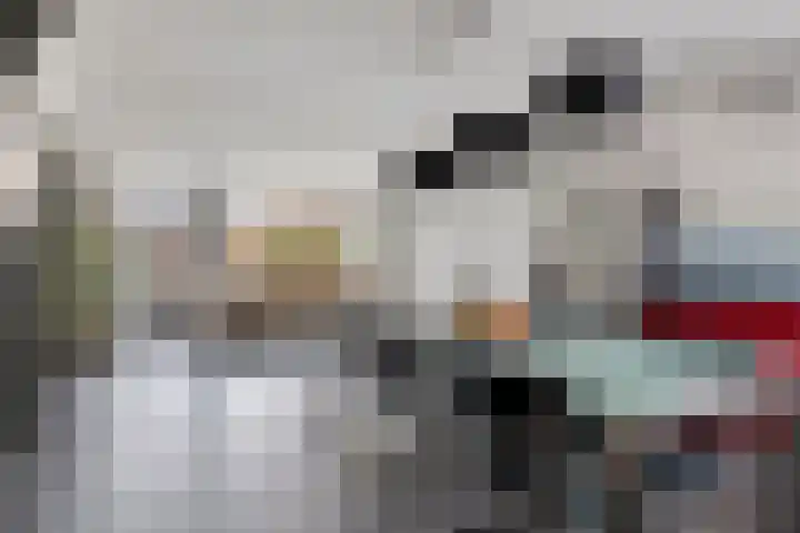 Sternhof 6 Lisse thumbnail 12