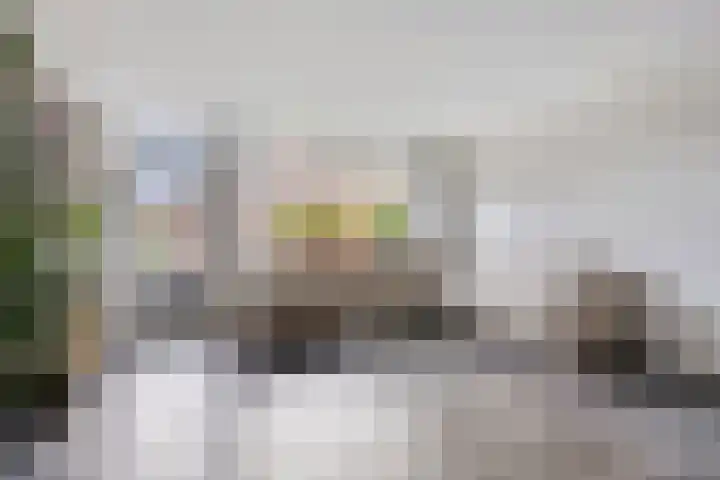 Sternhof 6 Lisse thumbnail 14