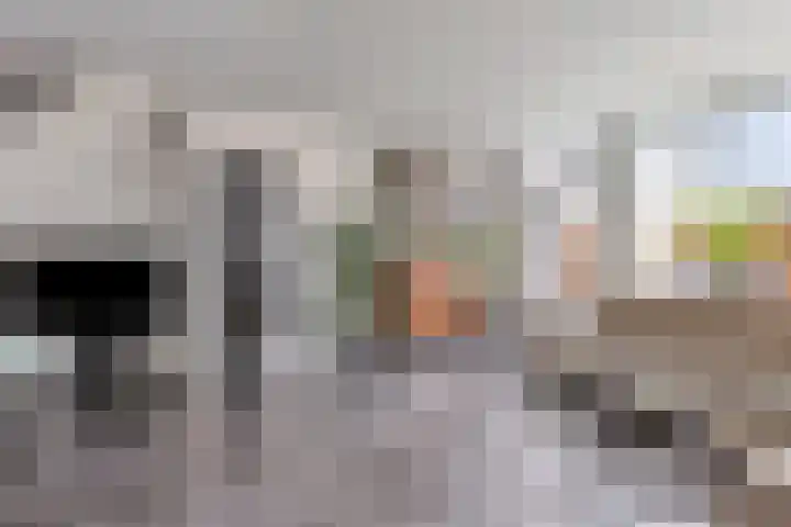 Sternhof 6 Lisse thumbnail 15