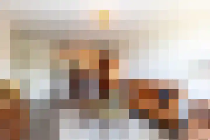 Sternhof 6 Lisse thumbnail 19