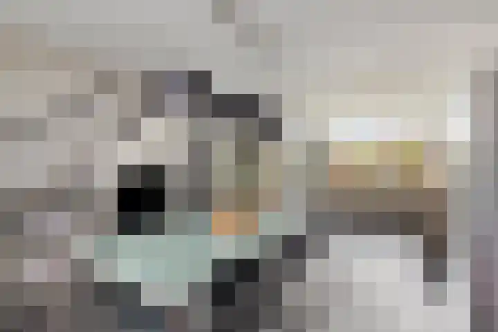 Sternhof 6 Lisse thumbnail 20