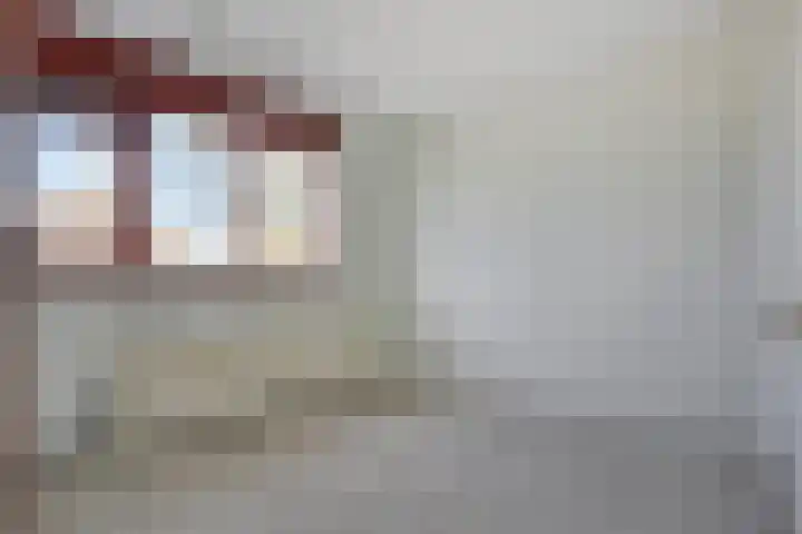 Sternhof 6 Lisse thumbnail 22