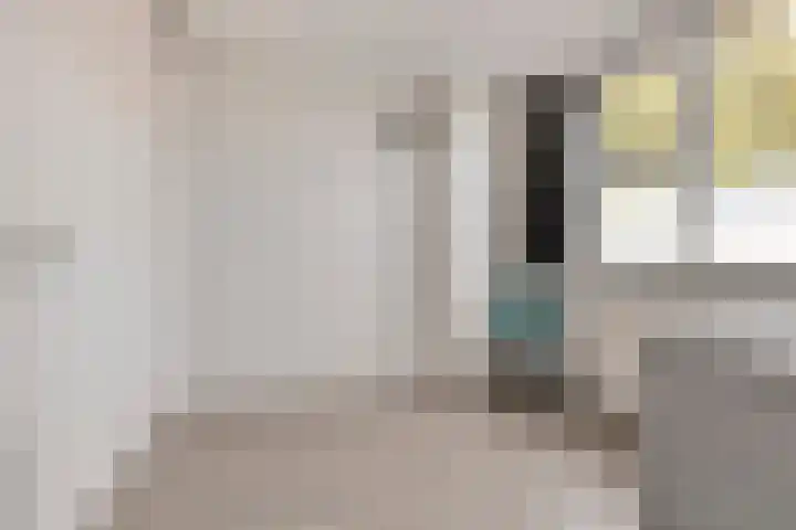 Sternhof 6 Lisse thumbnail 25