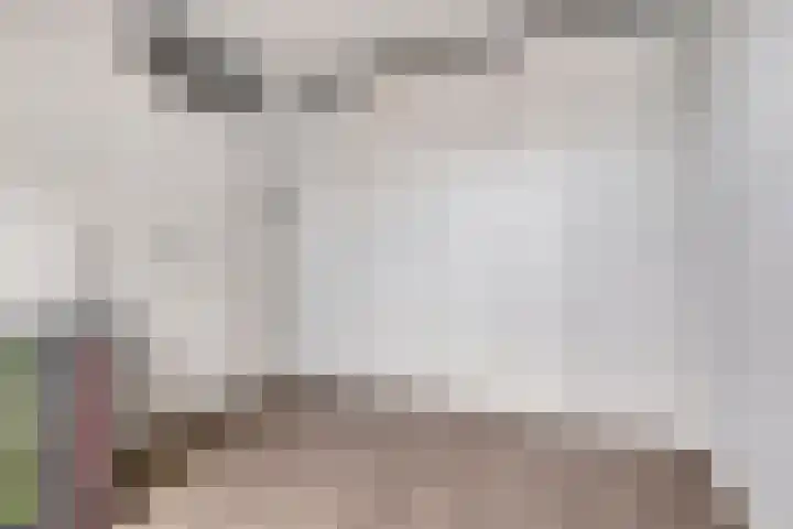Sternhof 6 Lisse thumbnail 26