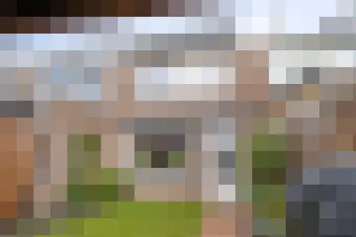 Sternhof 6 Lisse thumbnail 38