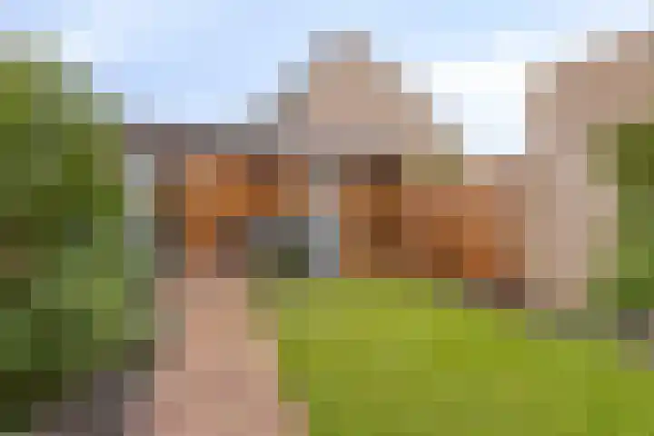 Sternhof 6 Lisse thumbnail 5