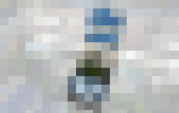 Sternhof 6 Lisse thumbnail 6