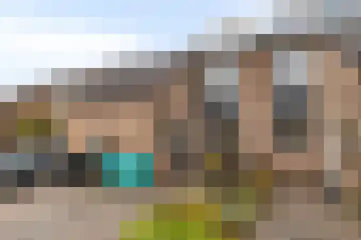 Sternhof 6 Lisse thumbnail 7