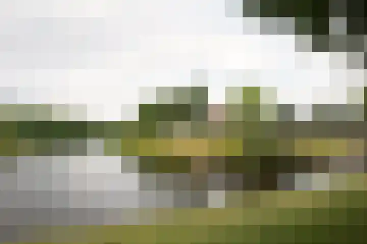 Sternmesschen 12 Assen thumbnail 10