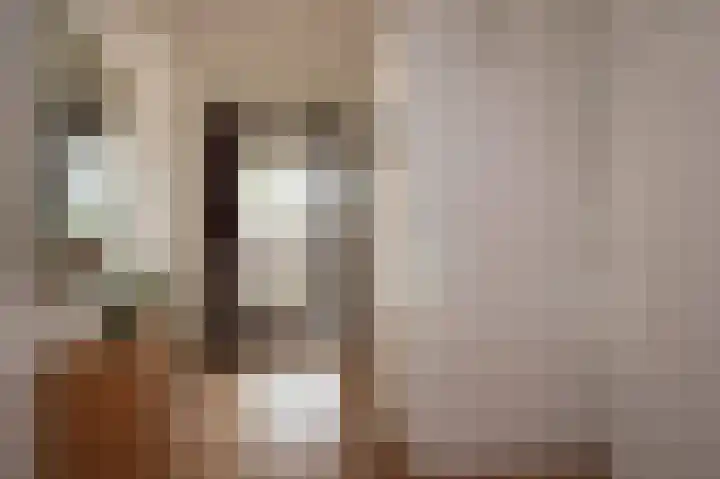 Sternmesschen 12 Assen thumbnail 11