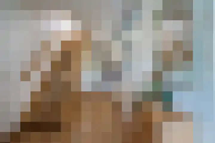 Sternmesschen 12 Assen thumbnail 12