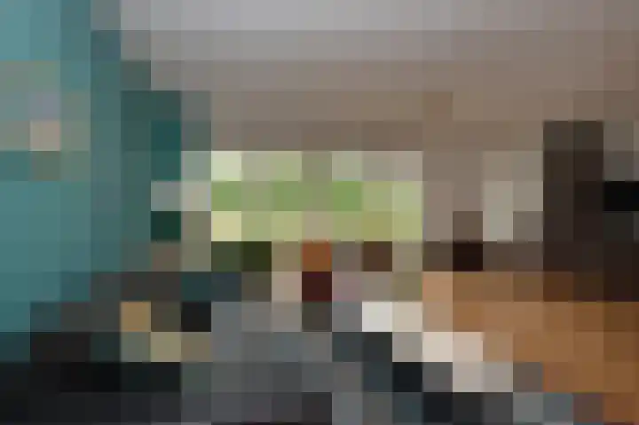 Sternmesschen 12 Assen thumbnail 13