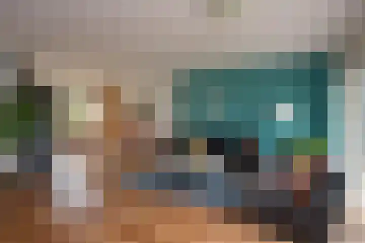 Sternmesschen 12 Assen thumbnail 15