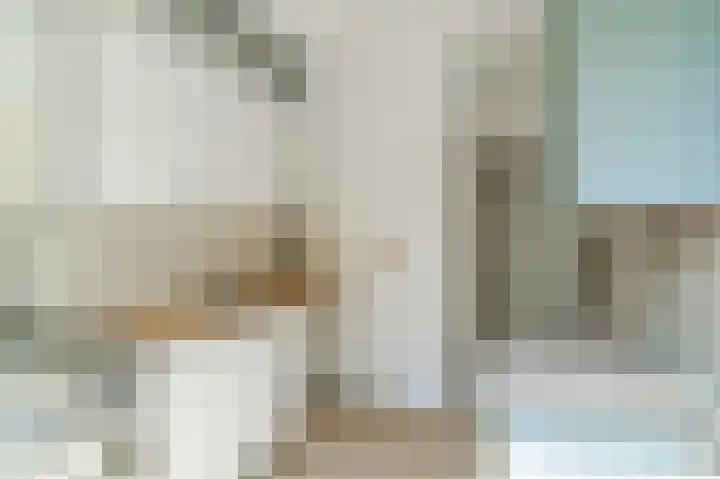 Sternmesschen 12 Assen thumbnail 16