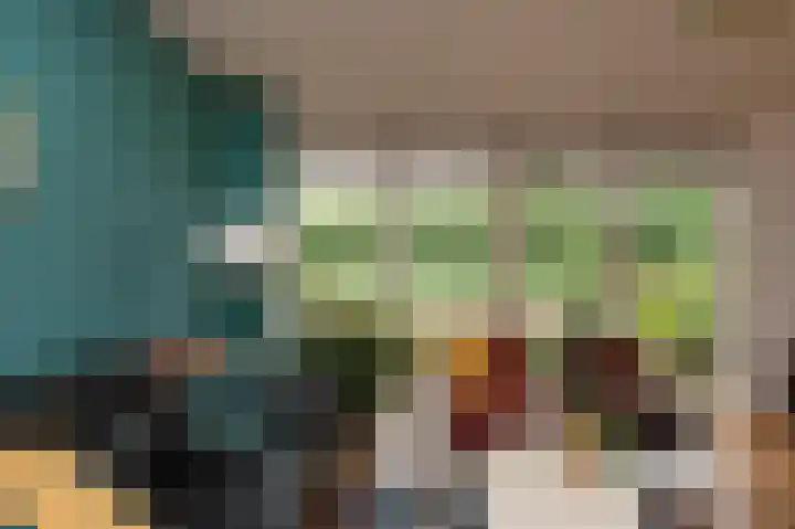 Sternmesschen 12 Assen thumbnail 16