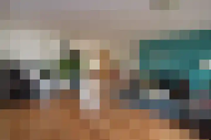 Sternmesschen 12 Assen thumbnail 17