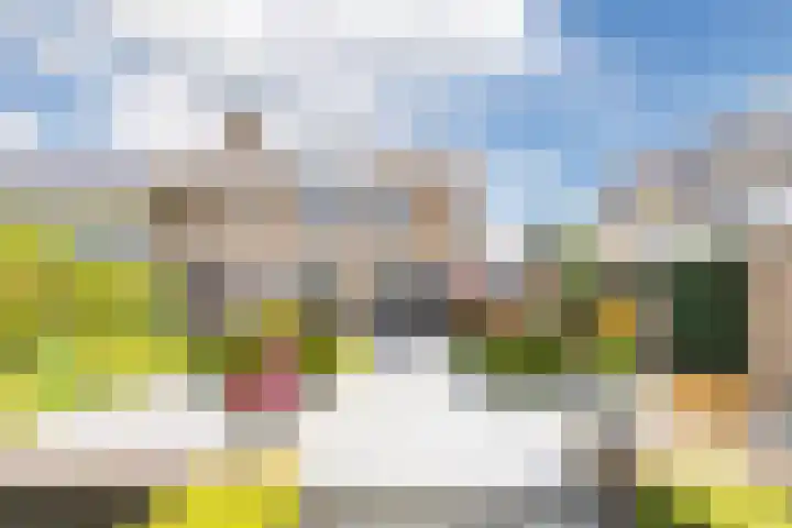 Sternmesschen 12 Assen foto 2