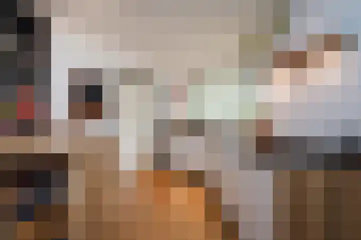 Sternmesschen 12 Assen thumbnail 21