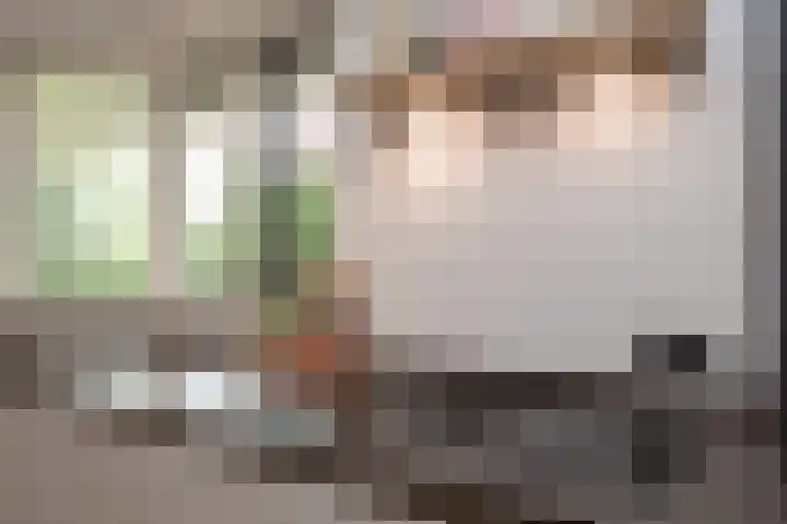 Sternmesschen 12 Assen thumbnail 23