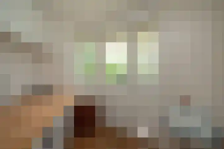 Sternmesschen 12 Assen thumbnail 24