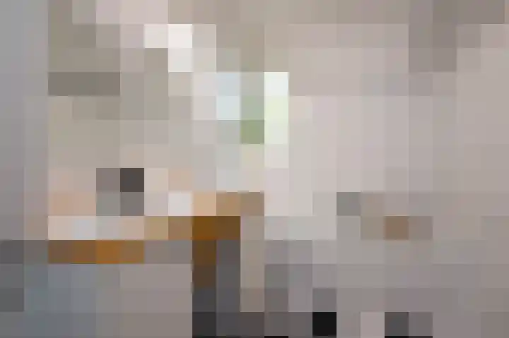 Sternmesschen 12 Assen thumbnail 27