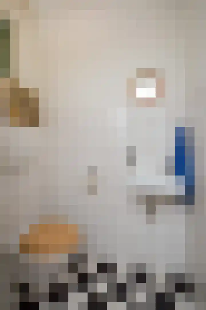 Sternmesschen 12 Assen thumbnail 29