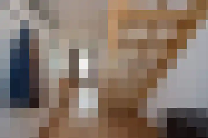 Sternmesschen 12 Assen thumbnail 30