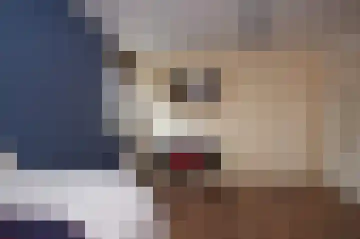 Sternmesschen 12 Assen thumbnail 32