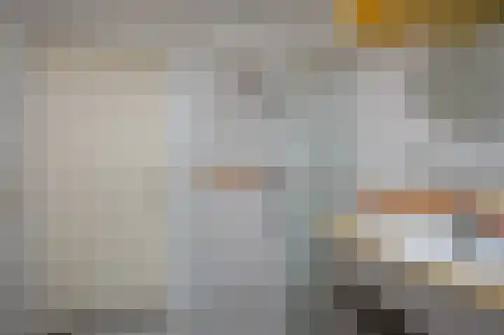 Sternmesschen 12 Assen thumbnail 35