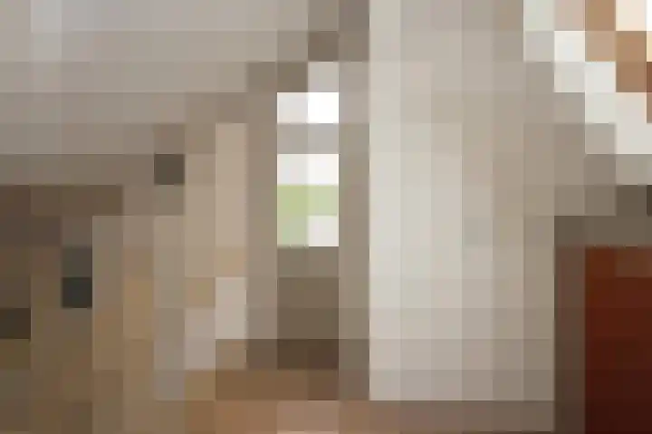 Sternmesschen 12 Assen thumbnail 36