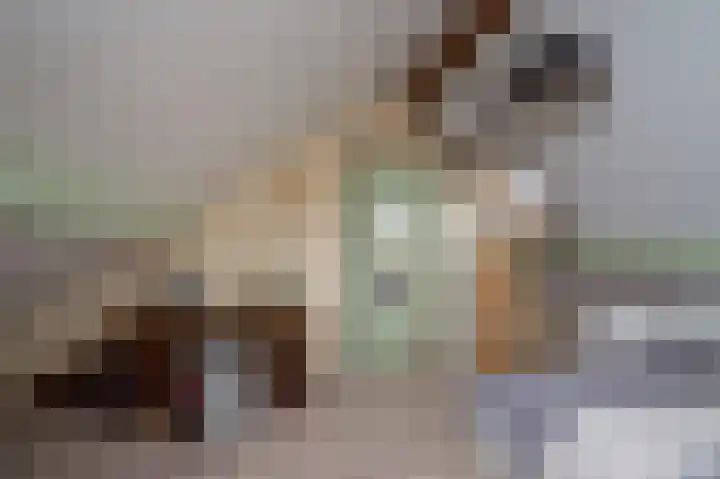 Sternmesschen 12 Assen thumbnail 38