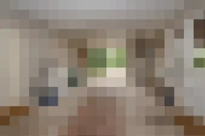 Sternmesschen 12 Assen thumbnail 39