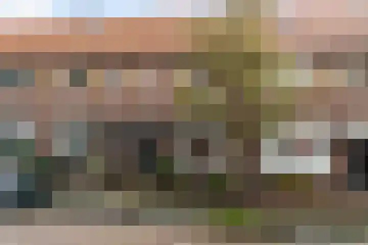 Sternmesschen 12 Assen thumbnail 4