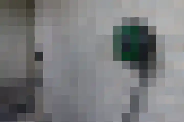 Sternmesschen 12 Assen thumbnail 41