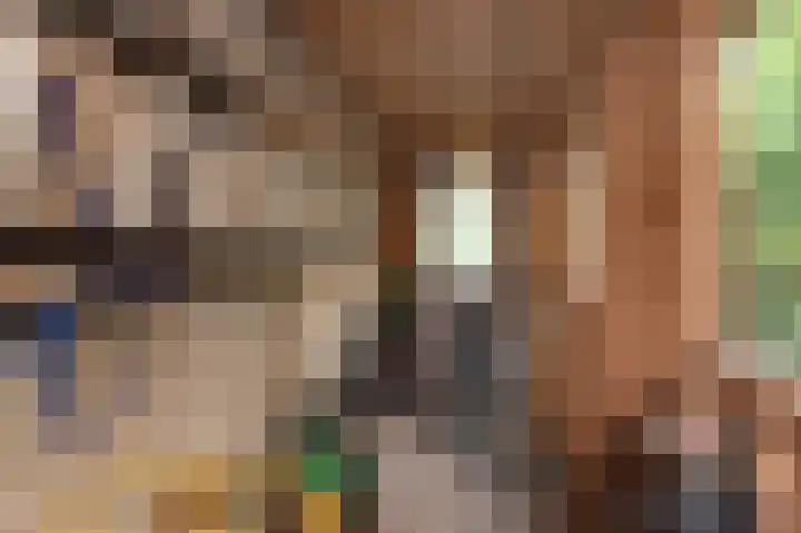 Sternmesschen 12 Assen thumbnail 42