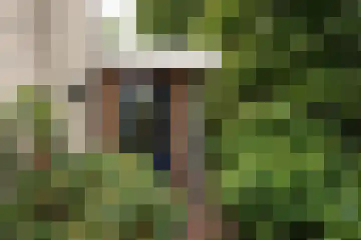 Sternmesschen 12 Assen thumbnail 43